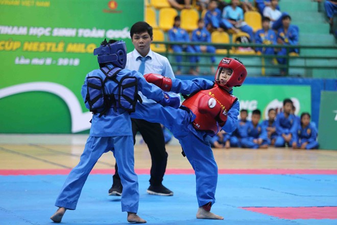 Đoạt 25 HCV, đoàn TP. Hồ Chí Minh xếp đầu giải Vovinam học sinh 2018
