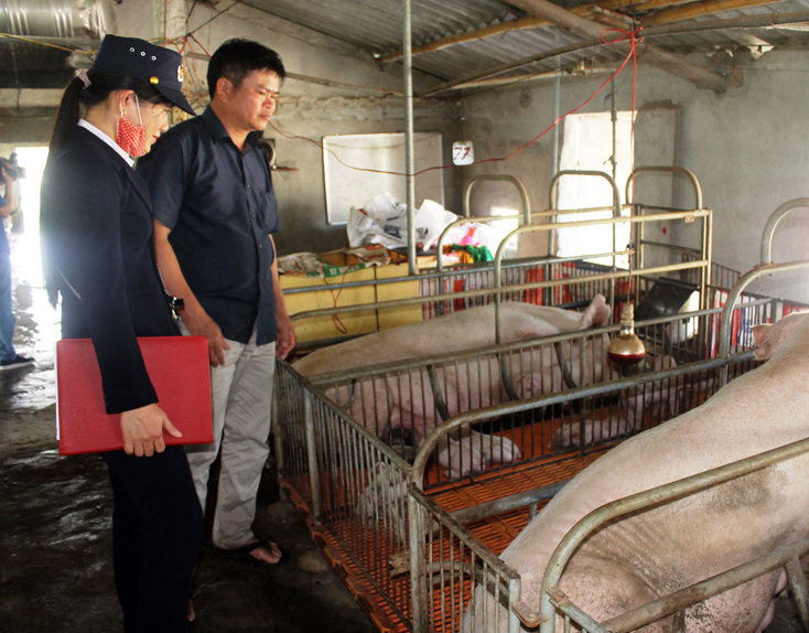 Xây dựng thêm 11 cơ sở chăn nuôi an toàn dịch bệnh