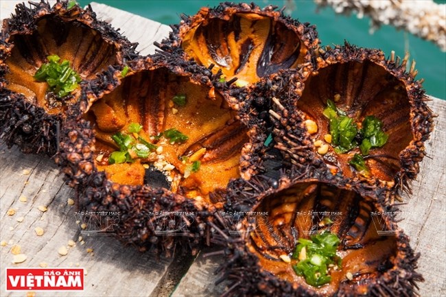 Ngọt bùi món nhum nướng mỡ hành đặc sản xứ biển miền Trung