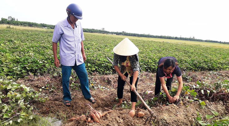 Lệ Thủy: Tiếp tục chuyển đổi gần 45ha đất lúa kém hiệu quả
