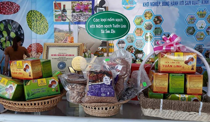 Ưu tiên chế biến sản phẩm nông, lâm, thủy sản theo hướng tinh, sâu