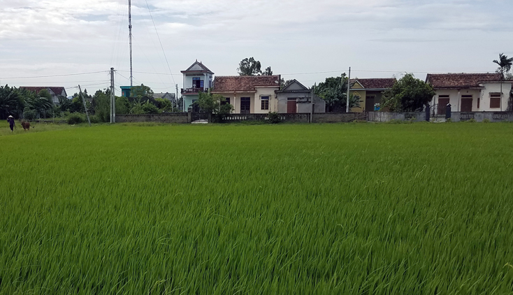 Tăng cường cơ giới hóa nông nghiệp sau dồn điển đổi thửa