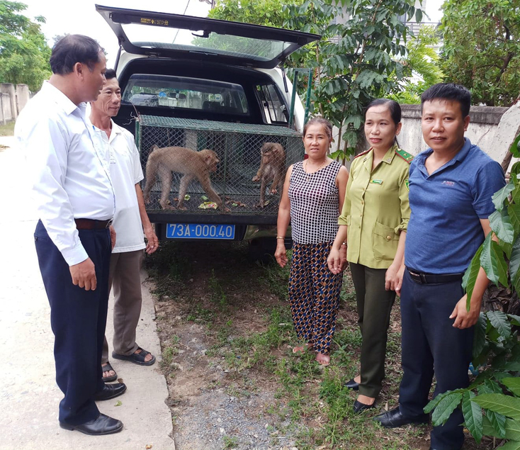 Tiếp nhận 2 cá thể khỉ đuôi lợn nguy cấp, quý, hiếm