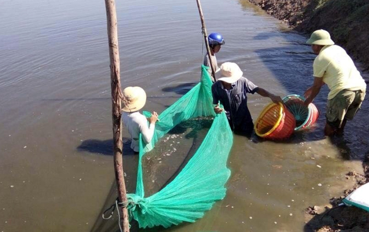 Xã Quảng Hải:  Nỗ lực giữ chuẩn nông thôn mới