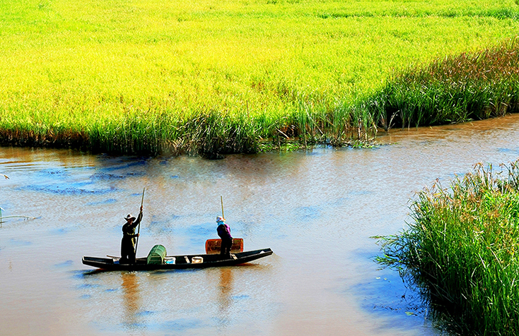 Sức hút của vẻ đẹp hoang sơ
