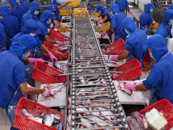 VASEP: Xuất khẩu thủy sản khó đạt mục tiêu 10 tỷ USD trong năm nay