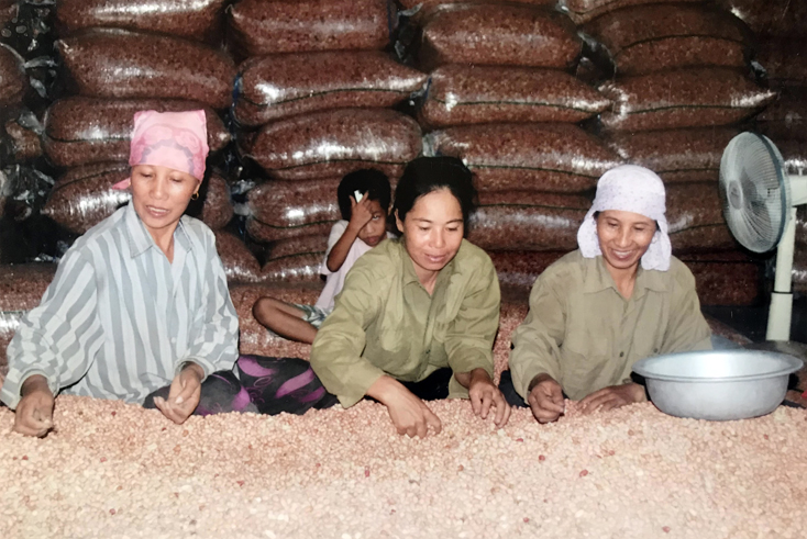 Hội Nông dân xã Quảng Liên (Quảng Trạch): Học và làm theo Bác bằng những việc làm cụ thể