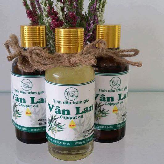 Hương tràm níu chân người trẻ
