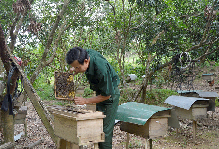 Hội Nông dân huyên Minh Hóa:  Phát huy hiệu quả nguồn vốn vay ưu đãi