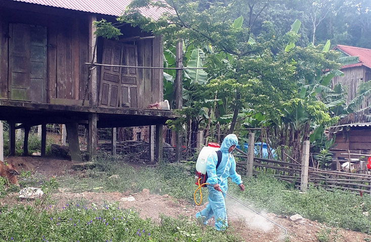 Chủ động phòng, ngừa bệnh dịch tả lợn châu Phi