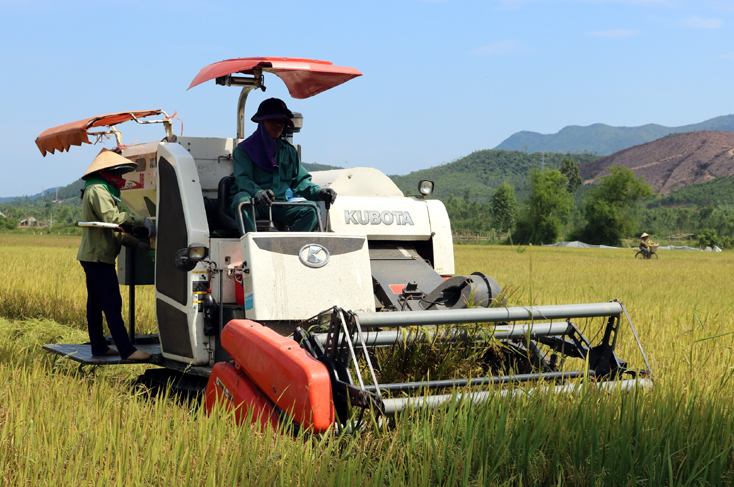 10 năm Nghị quyết "Tam nông" đi vào thực tiễn