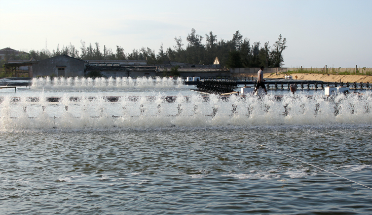 Dấu ấn "Chương trình 05"