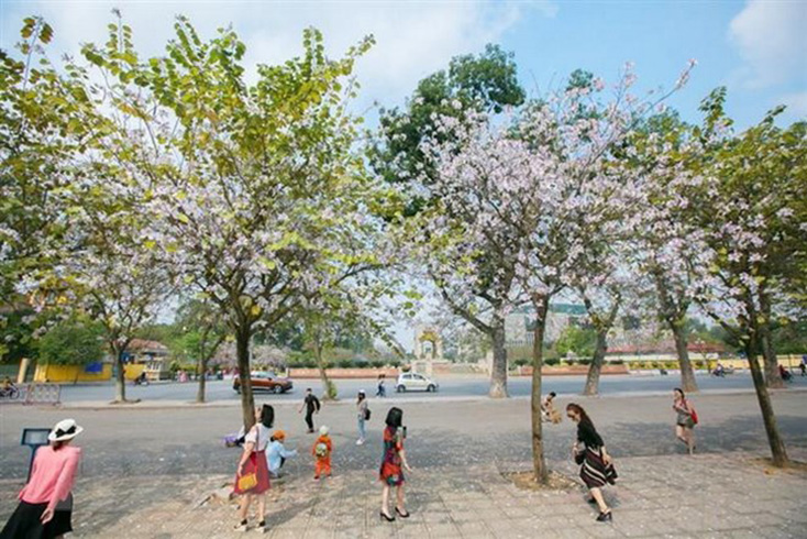 Thanh Hóa đến Thừa Thiên-Huế nhiều mây, có nơi mưa vừa, mưa to và dông