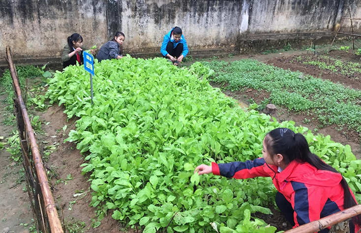 Xây dựng lò đốt rác trong trường học: Việc làm nhỏ, hiệu quả cao