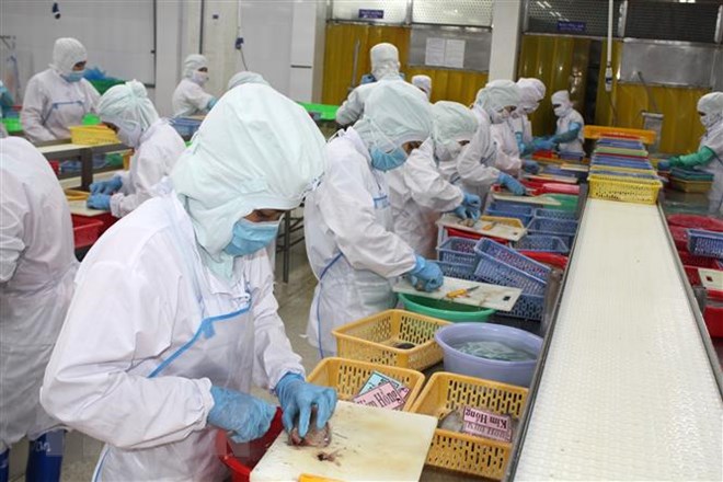 Khắc phục "thẻ vàng" IUU-Gỡ vướng xác nhận nguồn gốc nguyên liệu