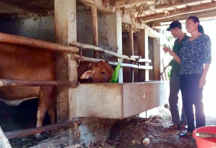 "Cầu nối" tín dụng của phụ nữ xã Phúc Trạch