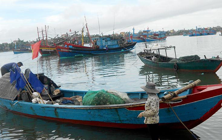 Sức sống mới ở Đức Trạch