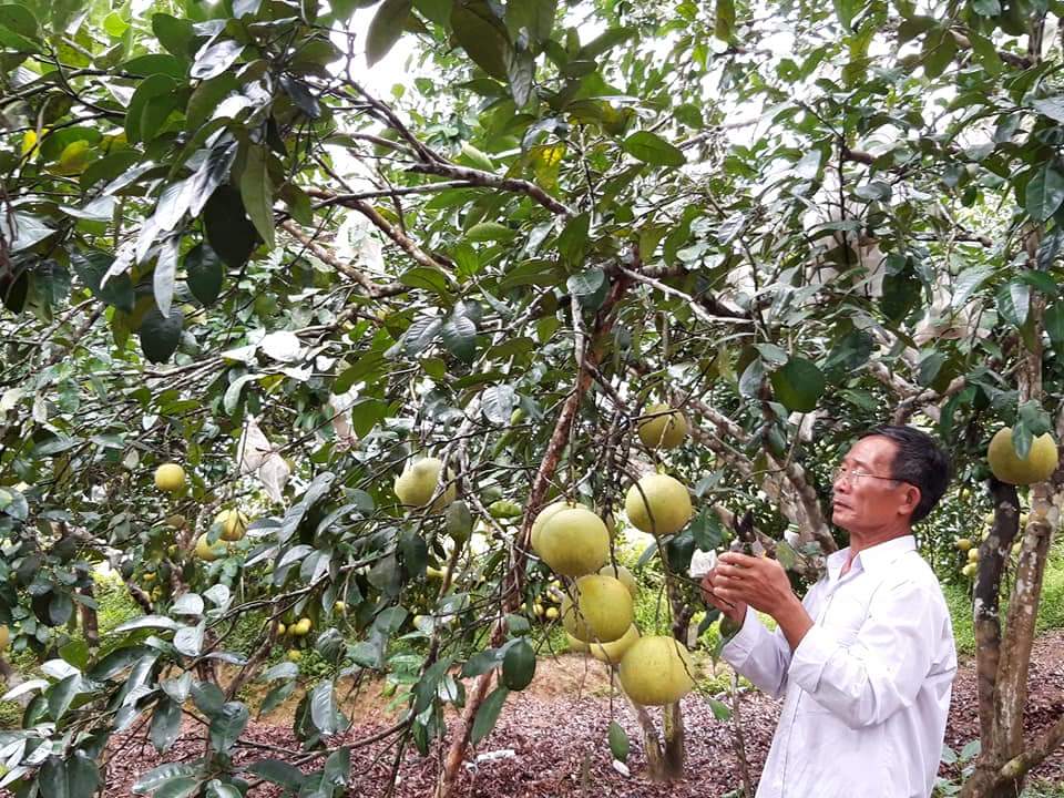 Tuyên Hóa: Thoát nghèo nhờ nguồn vốn tín dụng chính sách