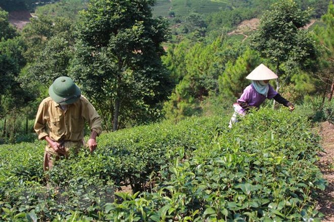 Thủ tướng định hướng thu hút, quản lý và sử dụng nguồn vốn ODA