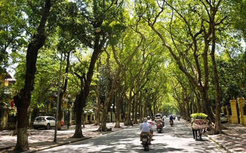 Phía Bắc các tỉnh Thanh Hóa - Thừa Thiên Huế có mưa vài nơi