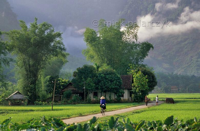 Tình tháng mười hai