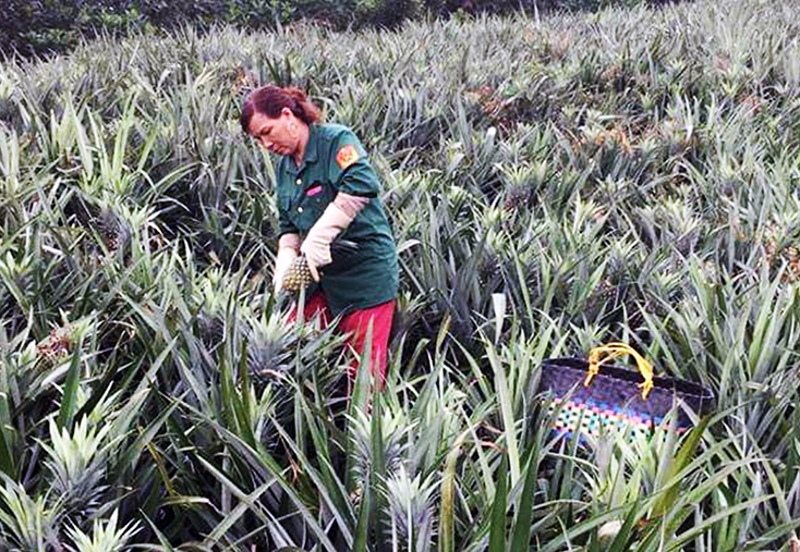 Tạo sinh kế cho phụ nữ nghèo