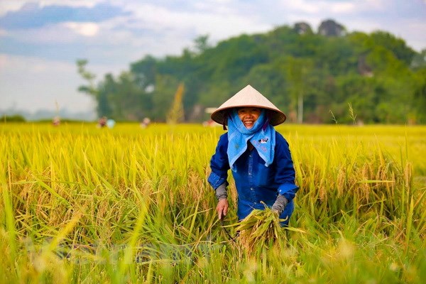 Ngày 11-12, bắt đầu Đại hội toàn quốc Hội Nông dân Việt Nam lần thứ 7
