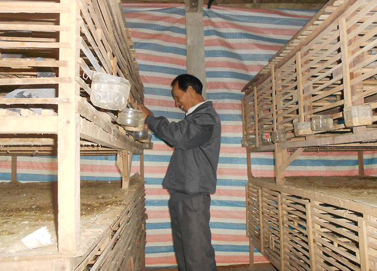 Cựu chiến binh huyện Lệ Thủy: Giúp nhau phát triển kinh tế, xóa đói giảm nghèo