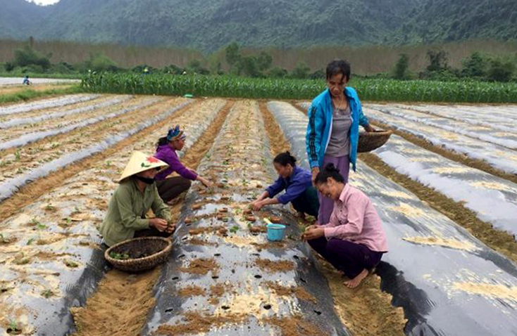 Nông thôn mới, về đích vẫn… lo!