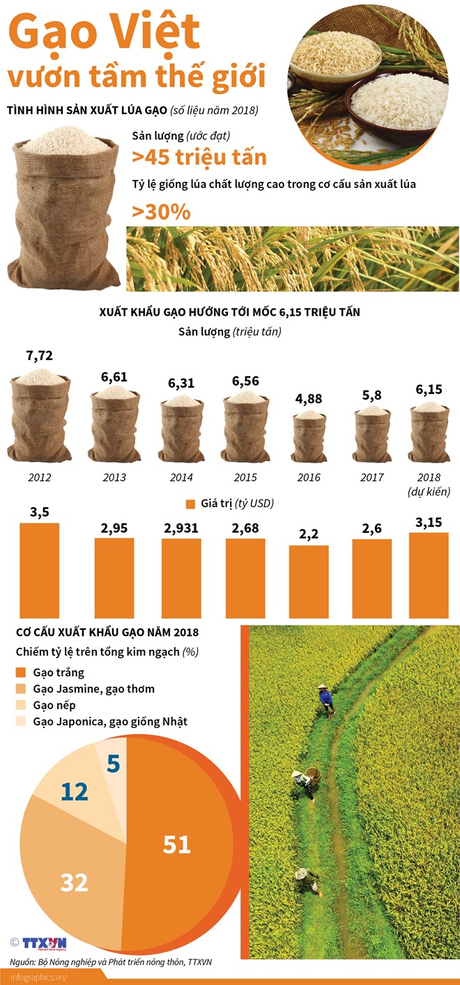 [Infographics] Sắp công bố Logo thương hiệu quốc gia gạo Việt Nam