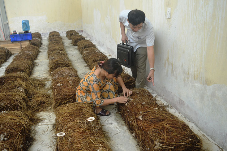 Nhiều đề tài, dự án khoa học-công nghệ tính thực tiễn cao