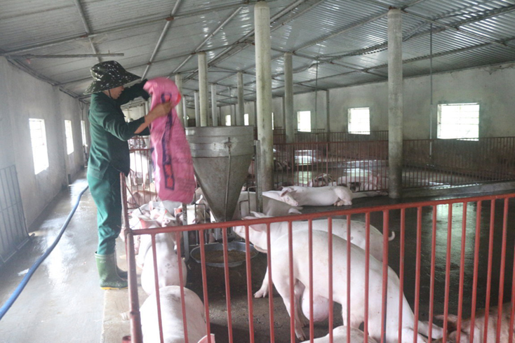 Quảng Ninh: khuyến khích phát triển các mô hình kinh tế trang trại, gia trại