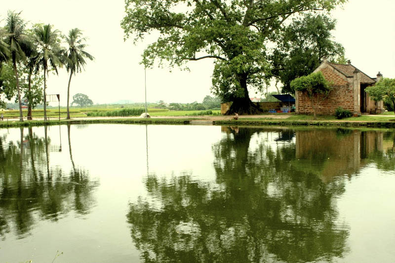 Chiều đông xóm cũ