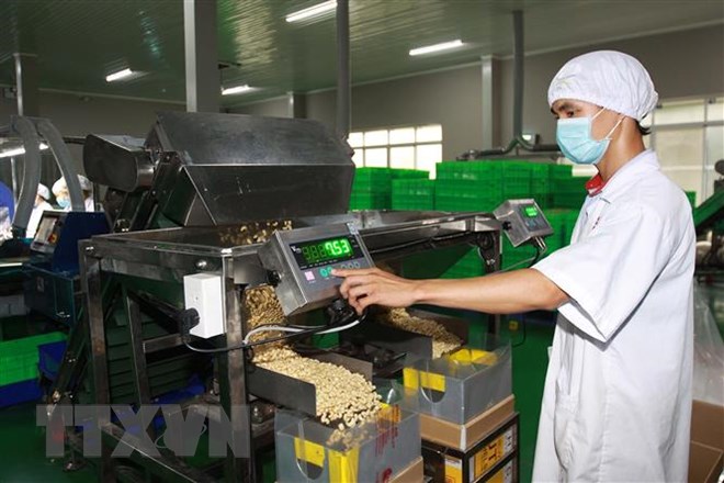 CPTPP: Sản phẩm chế biến sẽ là thách thức của nông nghiệp Việt Nam