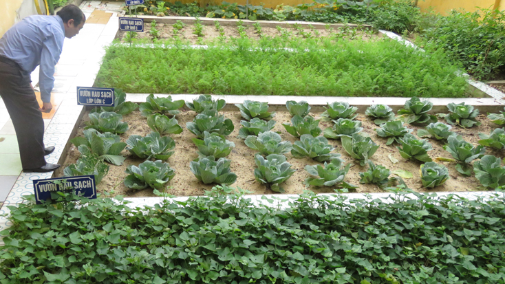 100% trường mầm non xây dựng mô hình vườn rau của bé