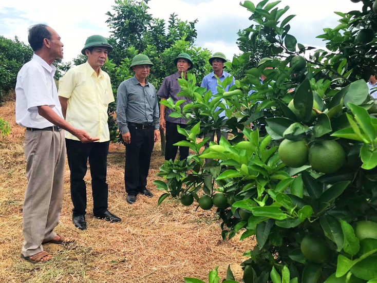 Đồng sức, đồng lòng, quyết tâm thực hiện thắng lợi nhiệm vụ năm 2019