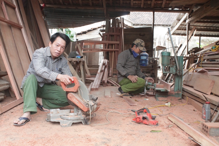 Xương rồng nở hoa