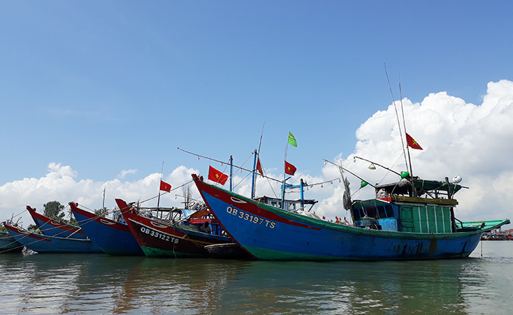Năm 2019, cơ cấu nông-lâm-ngư nghiệp sẽ chiếm 20% GRDP toàn tỉnh