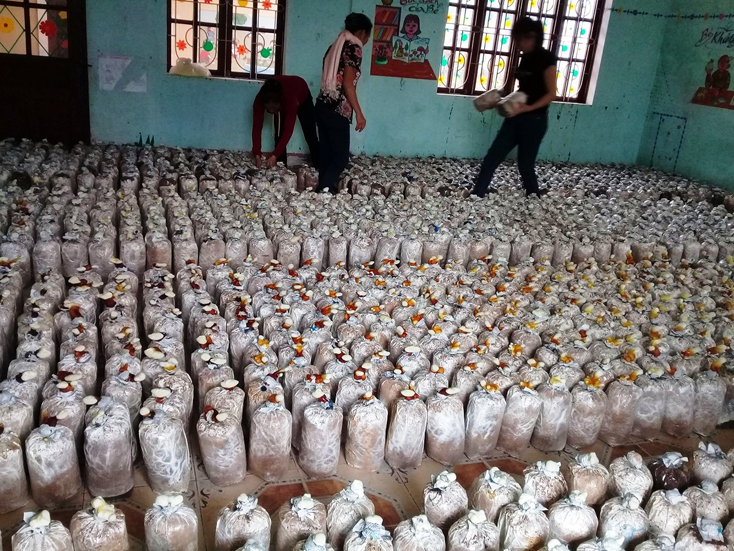 Đưa thành tựu nghiên cứu khoa học vào thực tiễn cuộc sống