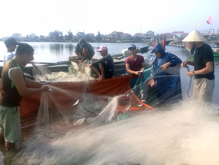 Ngư dân Bố Trạch trúng lộc biển đầu năm