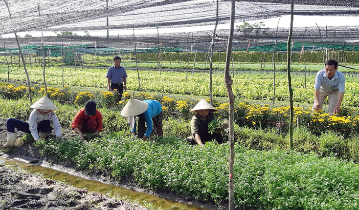 Đồng hành cùng nông dân phát triển sản xuất