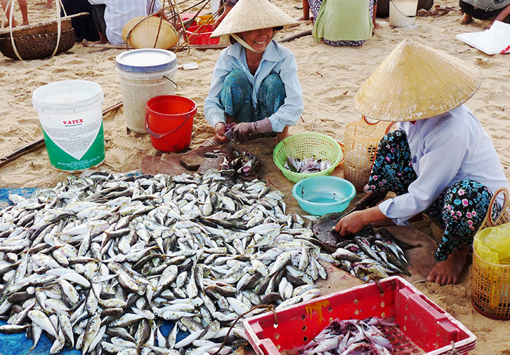 "Lộc" biển những ngày đầu năm