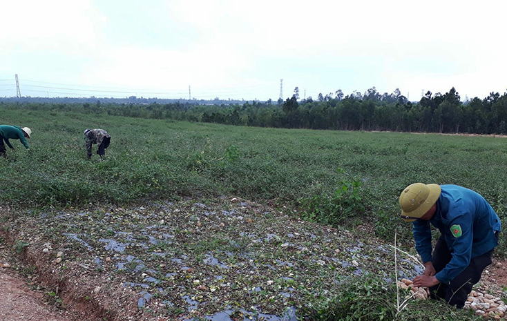 Thay đổi tư duy nông nghiệp truyền thống