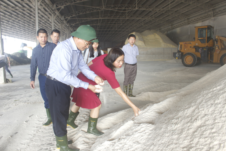 Tăng cường công tác bảo vệ môi trường tại dự án chăn nuôi bò thịt áp dụng công nghệ cao