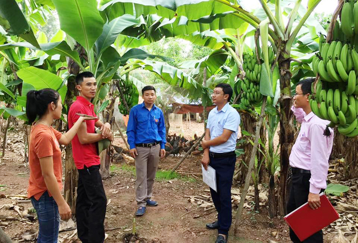 Quảng Trạch:  Tăng cường kiểm tra, giám sát chất lượng tín dụng