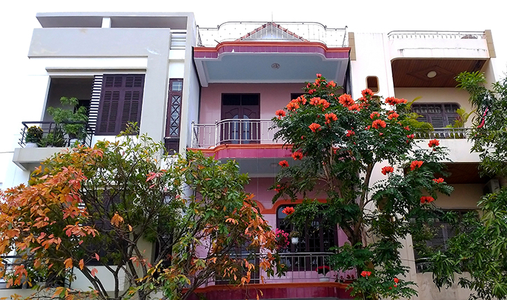 Cho thành phố thêm xanh