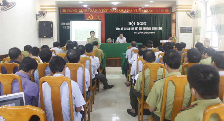 Công bố và bàn giao kết quả điều chỉnh quy hoạch 3 loại rừng