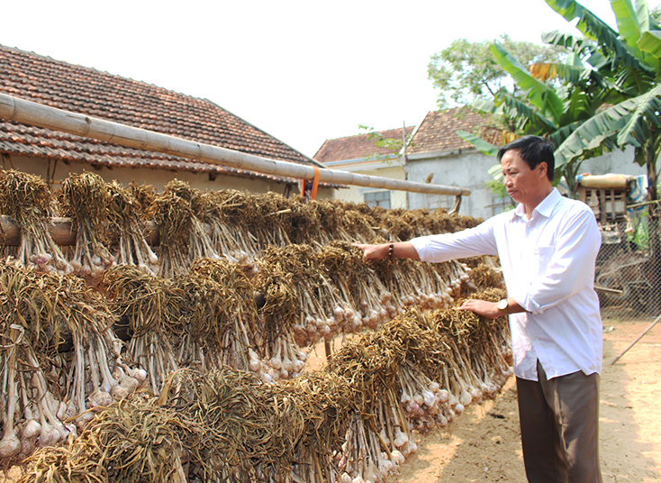 Tỏi Ba Đồn, được mùa mất giá