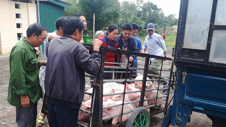 Công tác giảm nghèo ở Minh Hóa:  Xóa dần tư tưởng "trông chờ, ỷ lại"