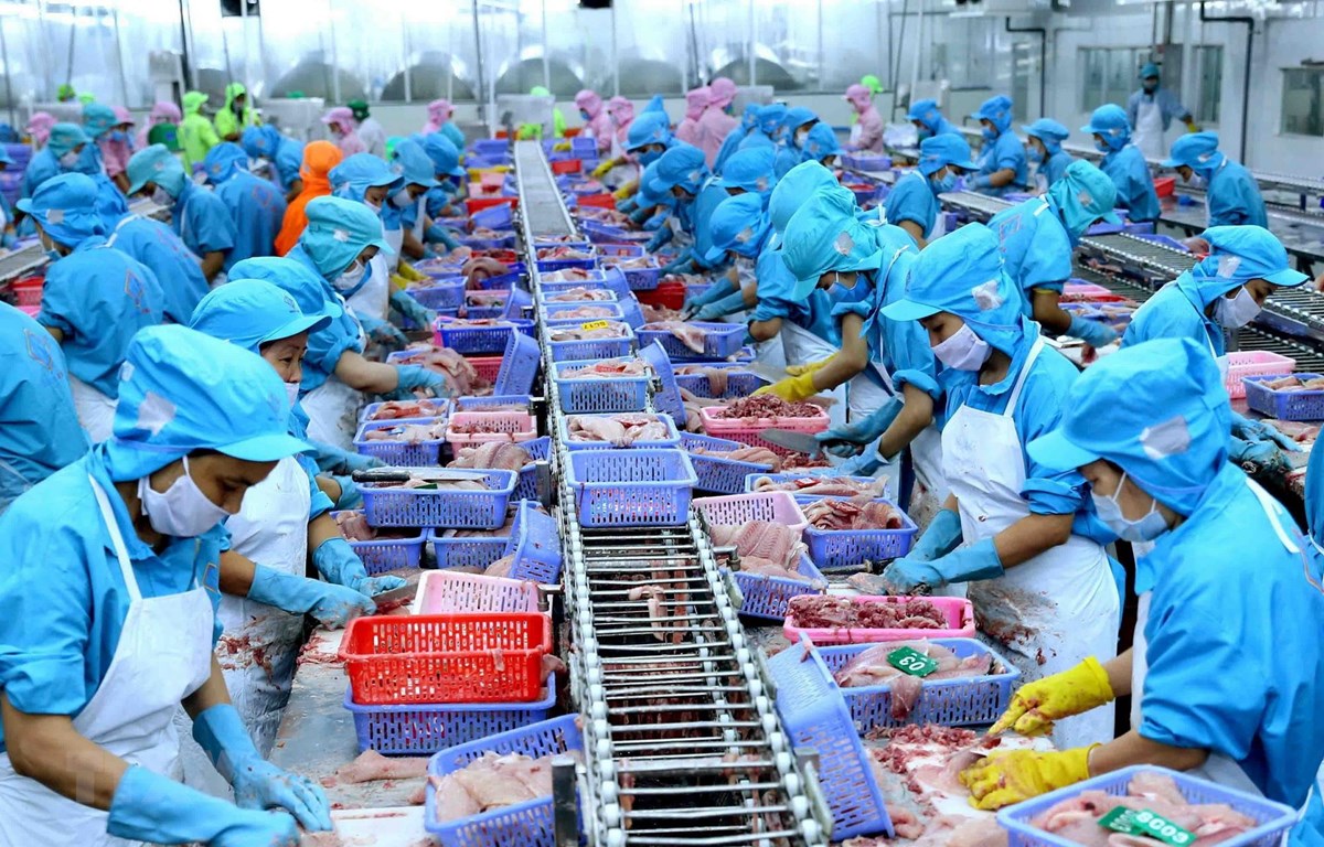 Việt Nam đang đứng thứ tư thế giới về xuất khẩu thủy sản